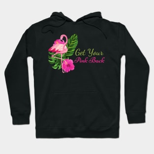 Get Your Pink Back Flamingo Hoodie